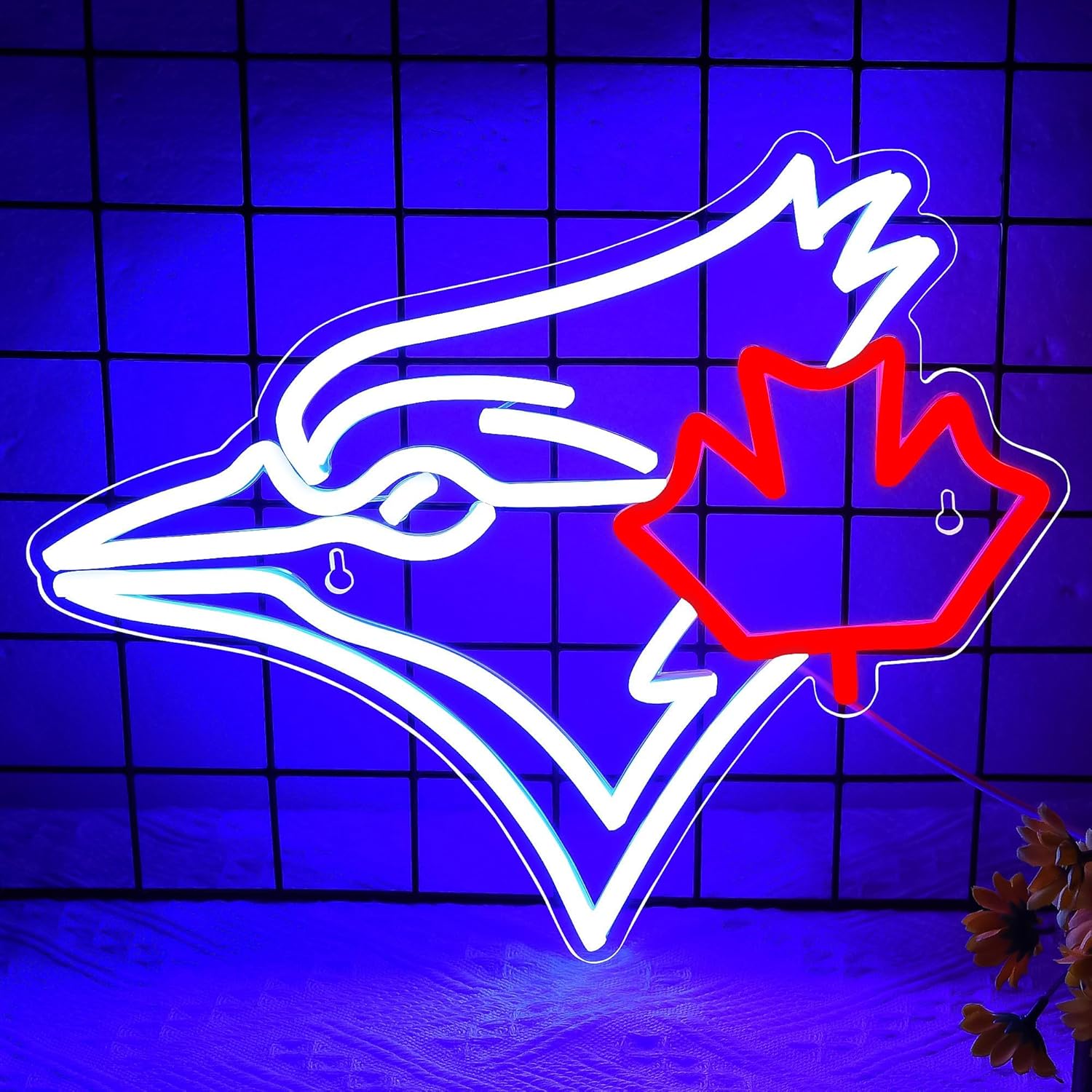 USB dimmbar Blue Jay mit Ahorn – Jay Lighting Decor Bewertung und Preis
